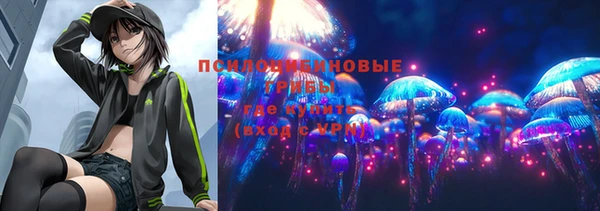 стафф Кодинск
