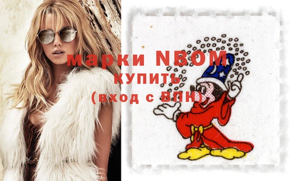 стафф Кодинск