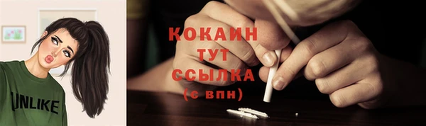 стафф Кодинск