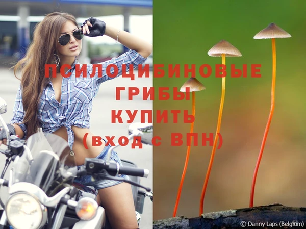 метадон Козловка