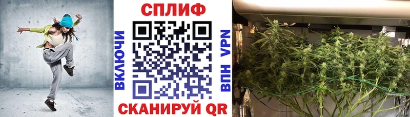 Бошки Шишки сатива  дарнет шоп  darknet телеграм  Сретенск 